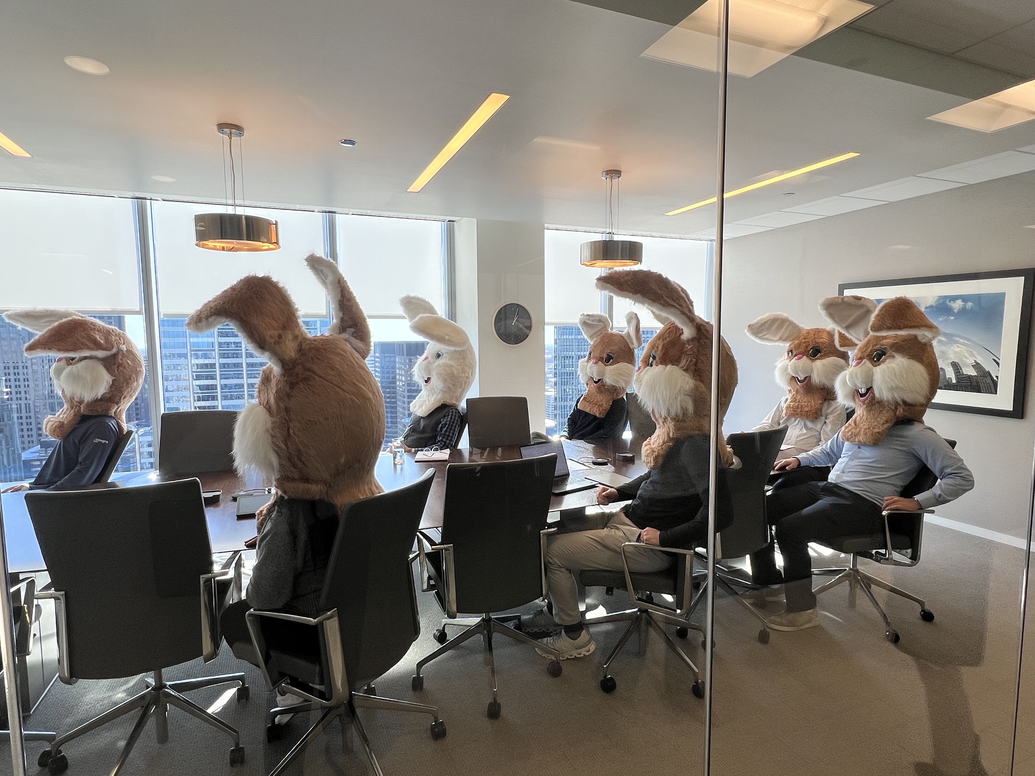 Some bunnies hopped onto a Board meeting call!